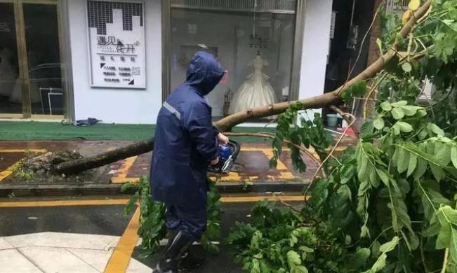 沙瑯鎮(zhèn)：打好防風防汛“主動戰(zhàn)”，“小網(wǎng)格”實現(xiàn)“大守護”